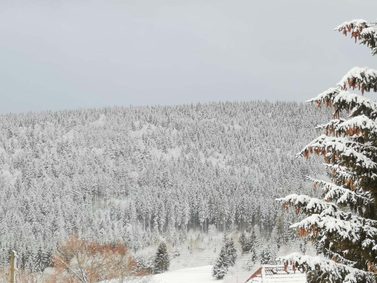 Hohengasthof Rossle Hotel Schluchsee Luaran gambar